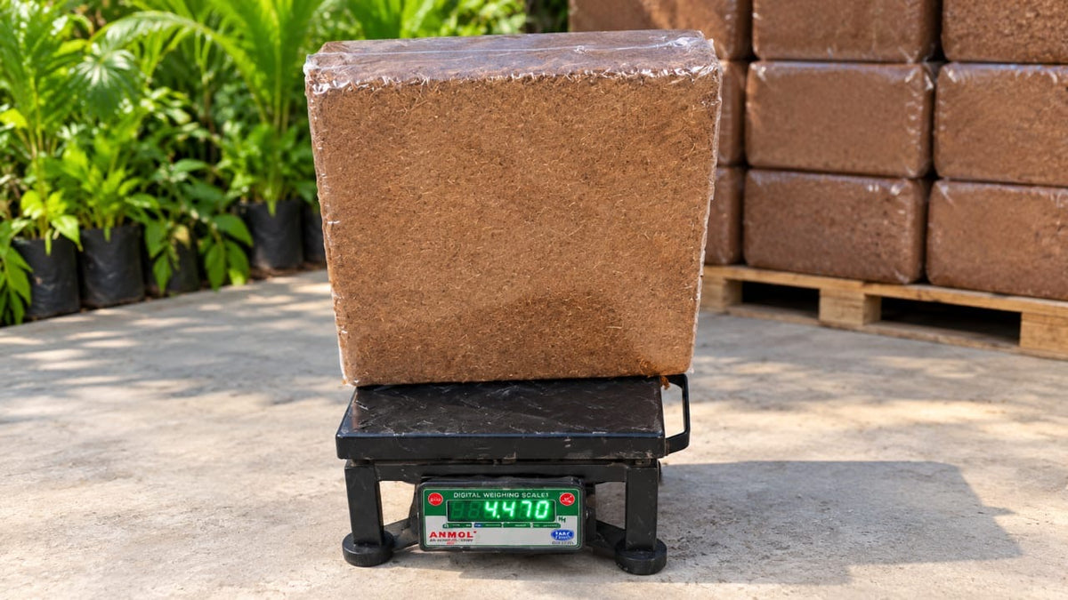 Single Block Wrapping-ADD ON Service